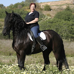 Janina Suuronen - Fine Artist